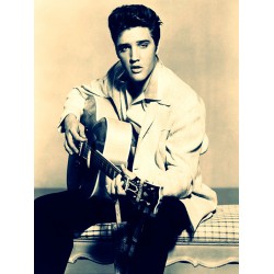 Placa Decorativa - Elvis Presley